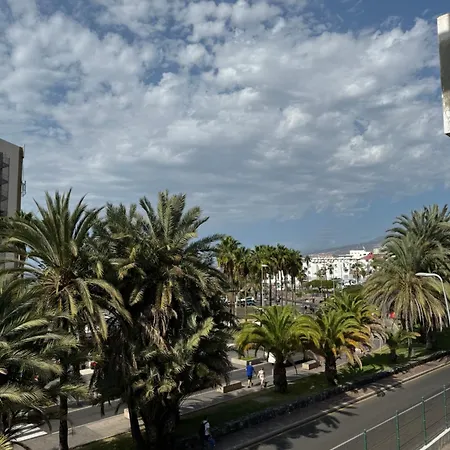 Piteras * Arona (Tenerife)